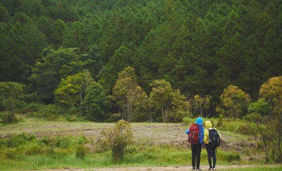 The Thrill of the Unknown: Spontaneous Travel Adventures